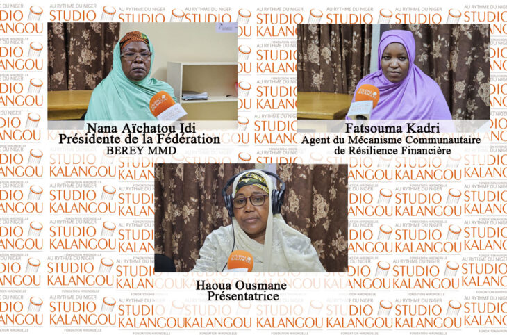 Rôle de la microfinance dans l'autonomisation des femmes au Niger 