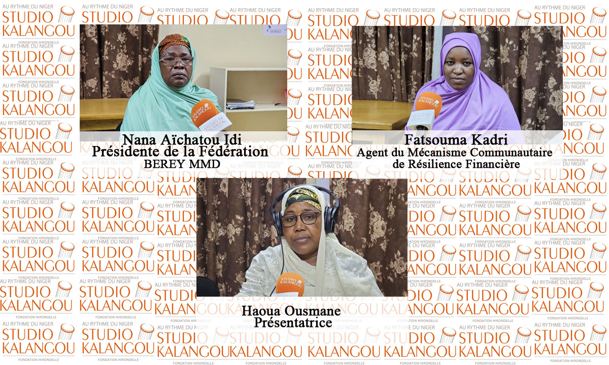 Rôle de la microfinance dans l’autonomisation des femmes au Niger 