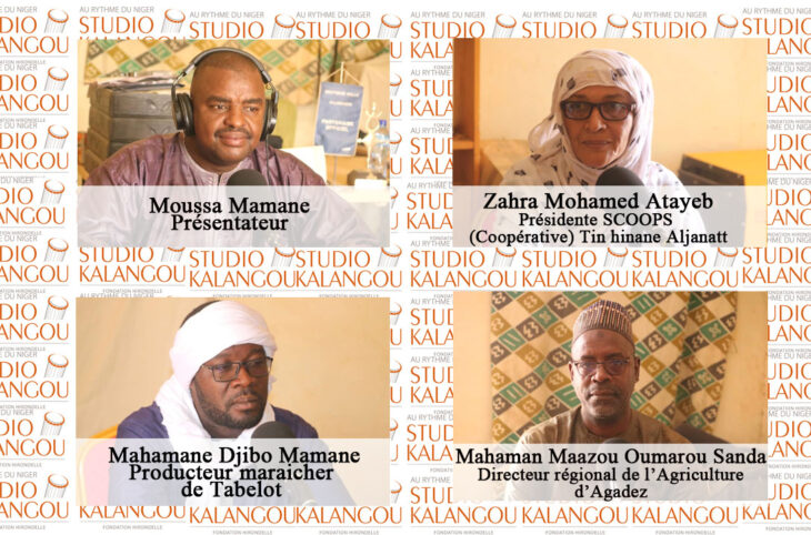 Baisse de la nappe phréatique : quelles conséquences pour la production agricole dans la région d'Agadez ?