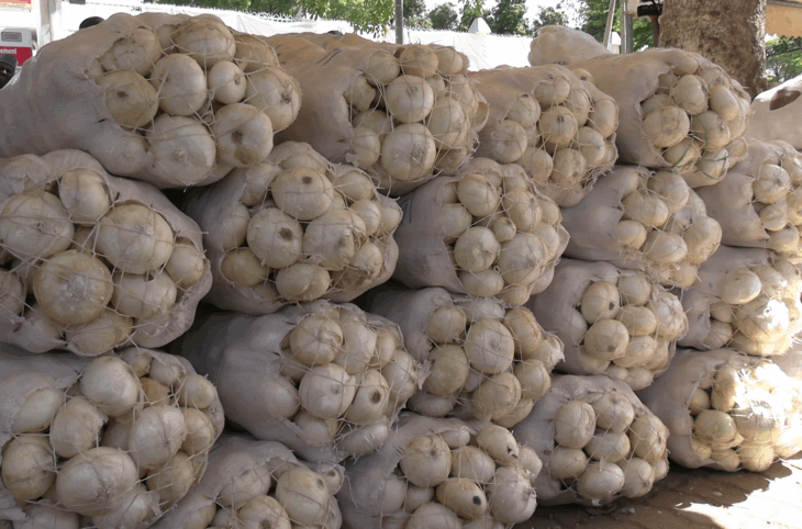 Rediffusion : Quelles stratégies pour la valorisation et la production de l’oignon blanc au Niger ?