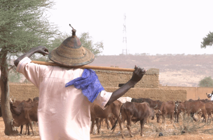 Situation du pastoralisme à Yama dans la région de Tahoua