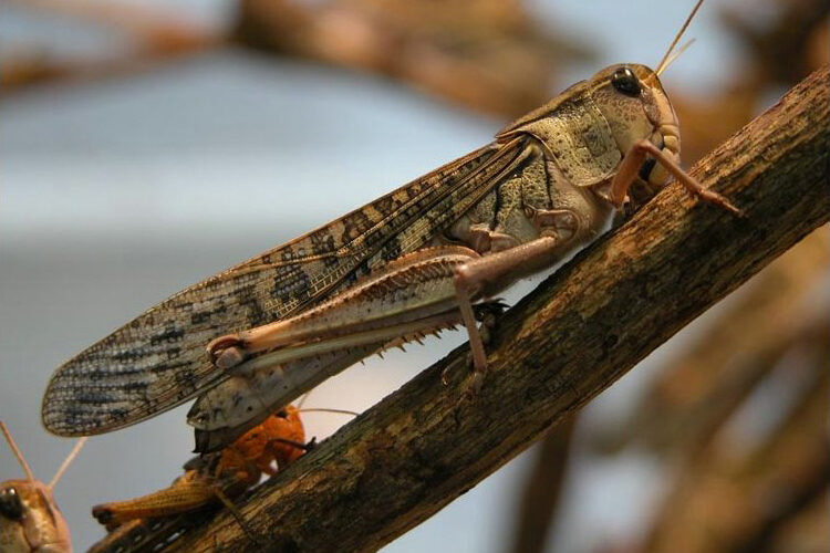Feature image