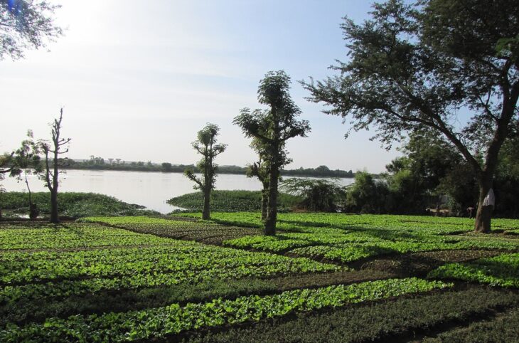 Le Niger sur Kalangou du 13 octobre 2025