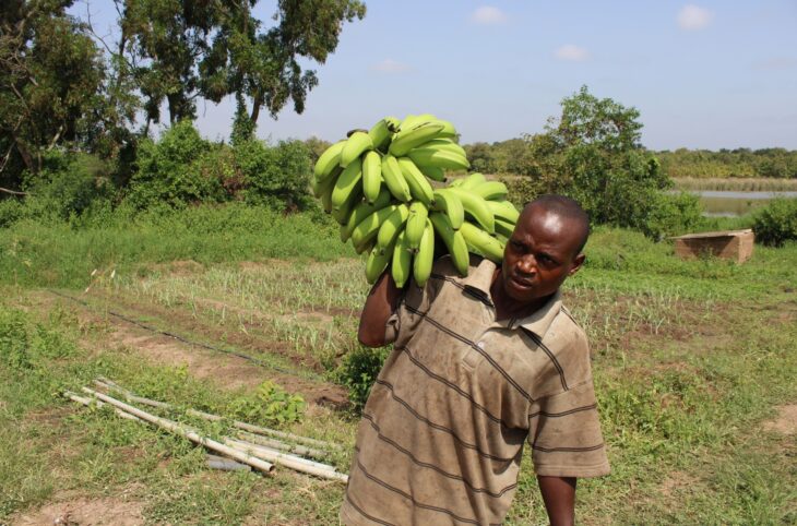 Le Niger sur Kalangou du 13 novembre 2025