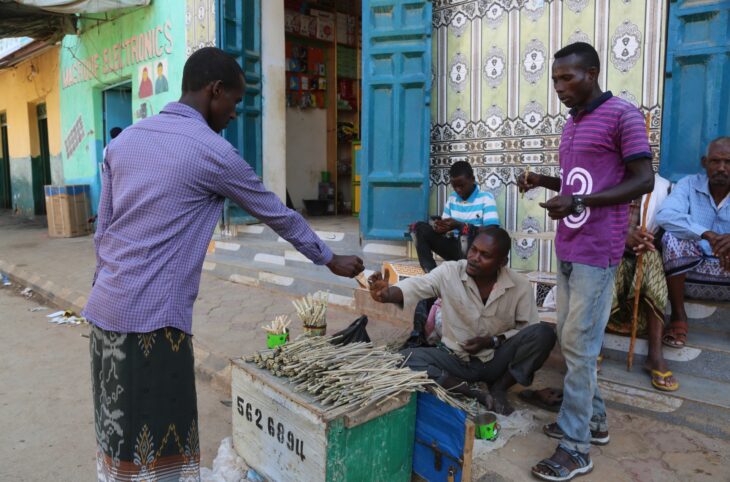 Jeunes et entrepreneuriat au Niger : attentes et enjeux à la Fada