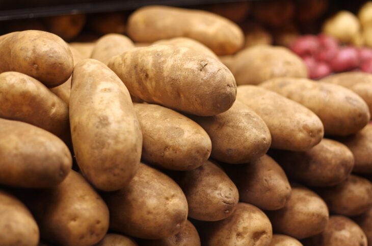 En bref. Festival de l'Aïr, Économie, ONC : les informations de la semaine