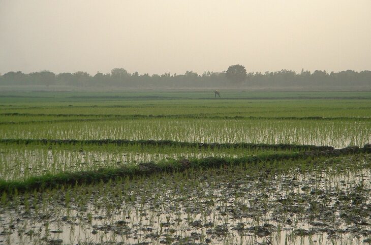 Le Niger sur Kalangou du 11 décembre 2025