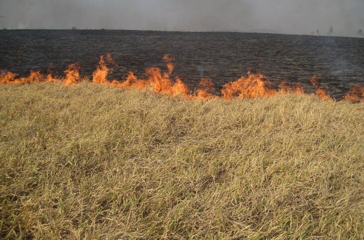Le Niger sur kalangou du 20 janvier 2026