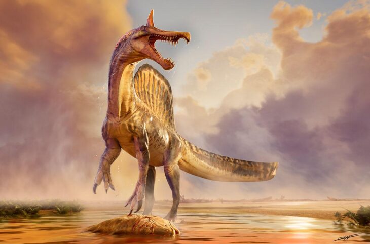 Paléontologie au Niger : Identification du Spinosaurus mirabilis dans la région d'Agadez