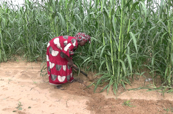 Le Niger sur Kalangou du 01 septembre 2026