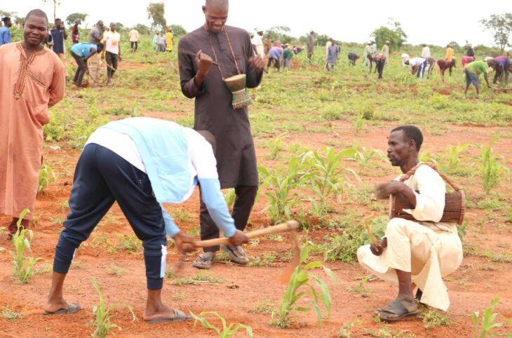 Entraide communautaire : le Gayya ou Boogu au service des travaux agricoles