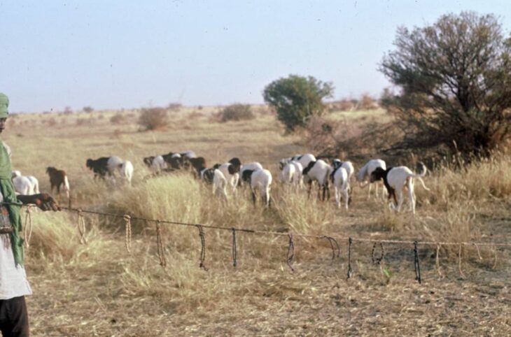 Le Niger sur Kalangou du 26 octobre 2026
