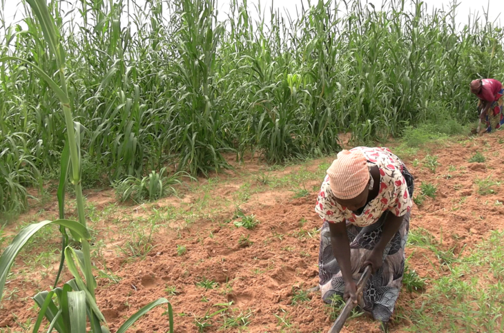 Le Niger sur Kalangou du 5 Octobre 2026