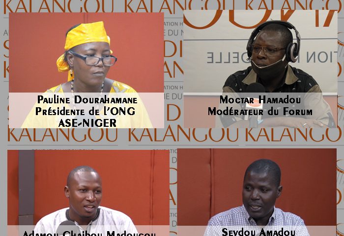 Promotion du compost au Niger : enjeux et défis