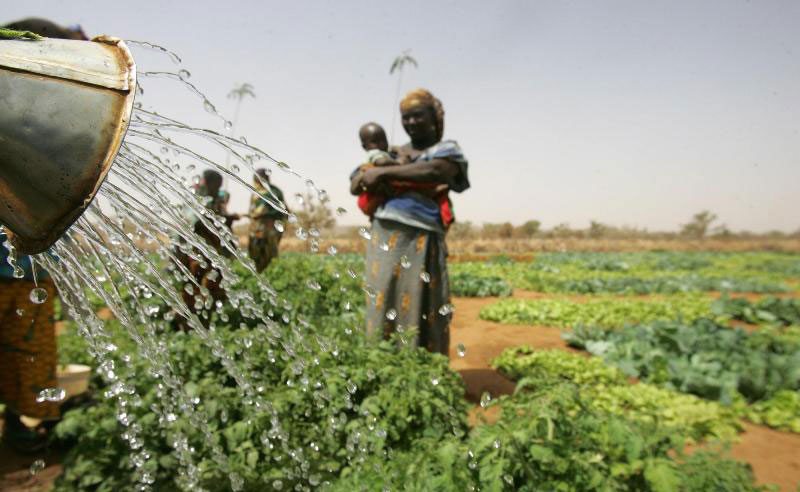 Le magazine du 13/11/2018:Utilisation du gaz domestique dans l’agriculture.