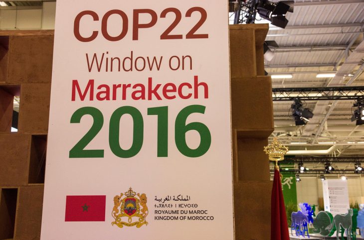 COP22 / Pour arriver à un accord : les chefs d'Etat très attendus à Marrakech