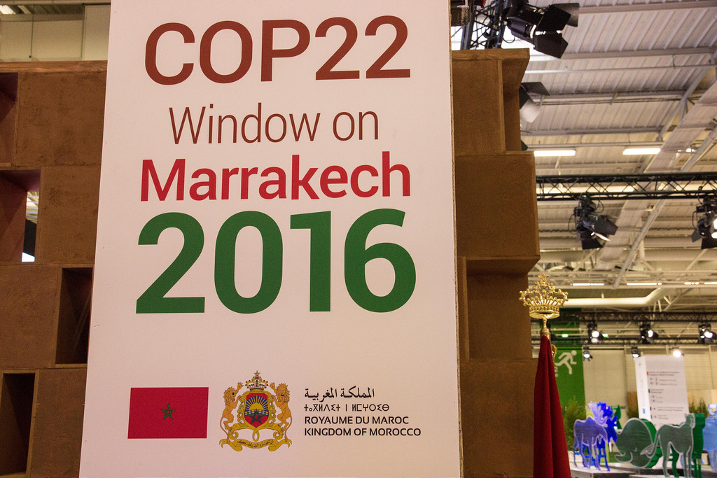 Cop22 : les enjeux