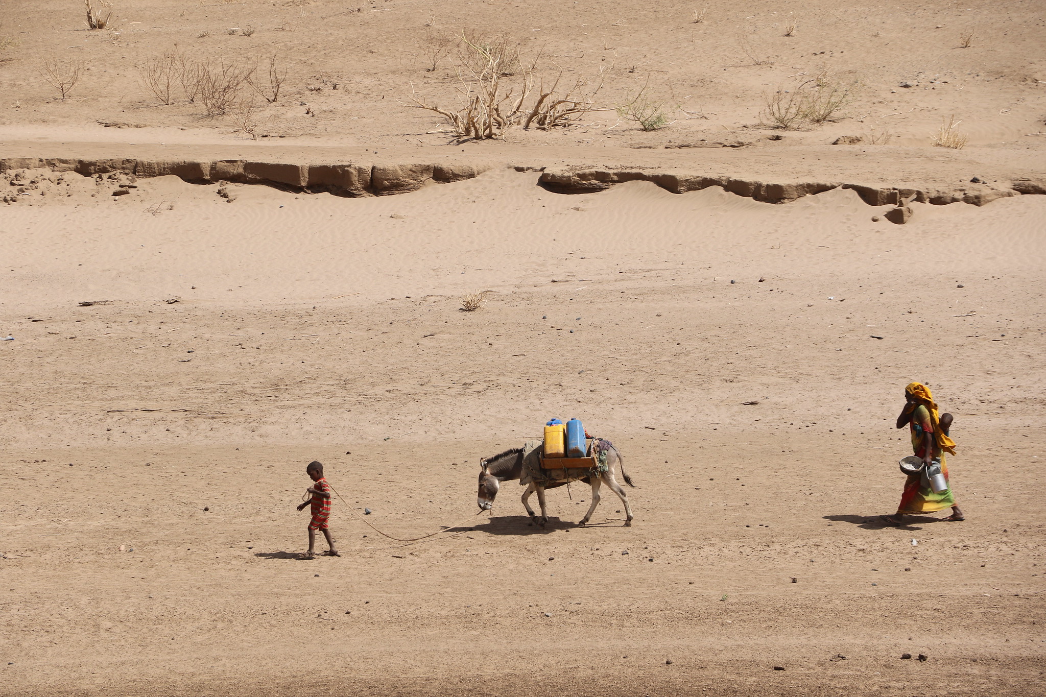 Niamey – Climat: une marche pour dénoncer l’inaction politique