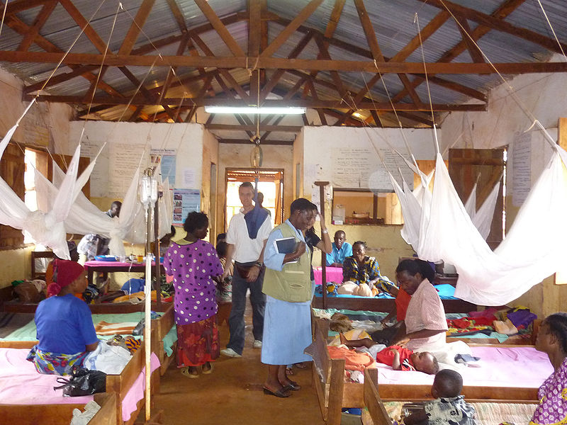 Paludisme/ La chimio prévention saisonnière : un espoir dans la réduction de la fréquence de la maladie au Niger