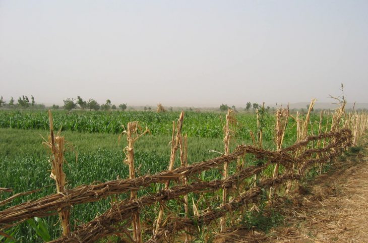 A Tanda, un forum pour réconcilier éleveurs et agriculteurs après une rixe sanglante