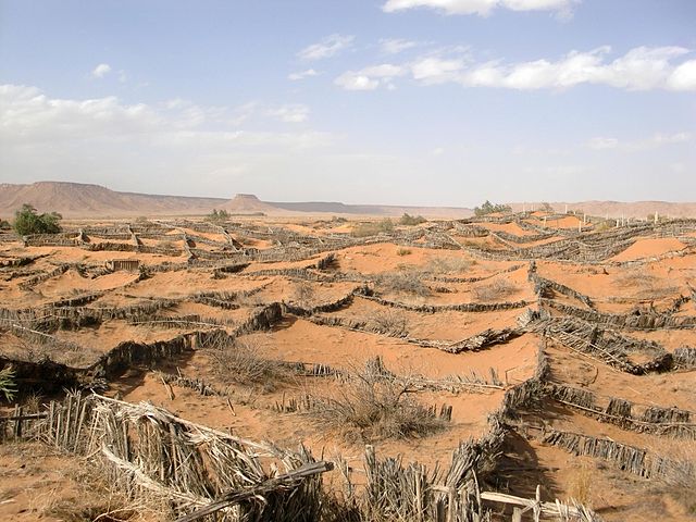 Niger : Les initiatives pour lutter contre la désertification