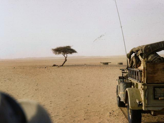 Magazine du 16/06/2018 – Historique de l’arbre du Ténéré : tamponné en 1973 par un camion, il servait de repère dans le désert nigérien