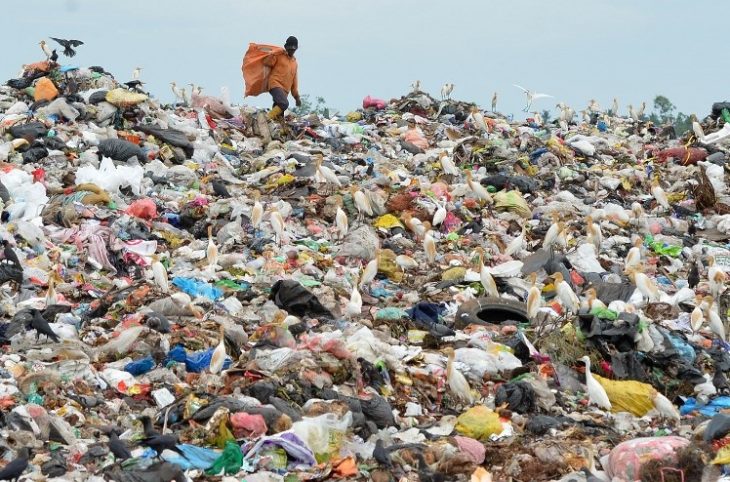 La protection de l’environnement, une affaire de tous