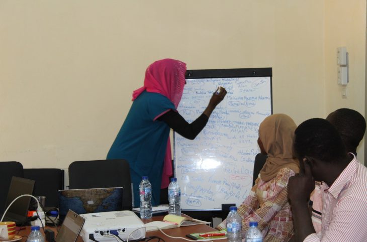 Economie : les centres incubateurs du Niger réunis pour plus d’efficacité