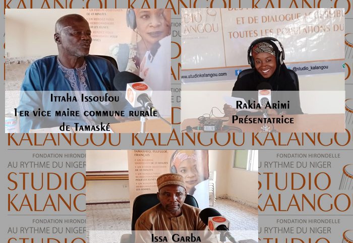 « L’insuffisance criarde de l’alimentation en eau potable d’une partie de la commune de Tamaské ».