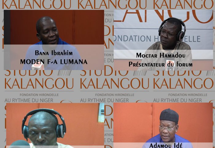 Financement des partis politiques au Niger : enjeux et défis du respect des textes