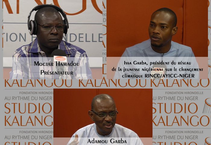 Approvisionnement en bois des centres urbains et péri-urbains par les marchés ruraux de bois au Niger : entre enjeux économiques et survie environnementale