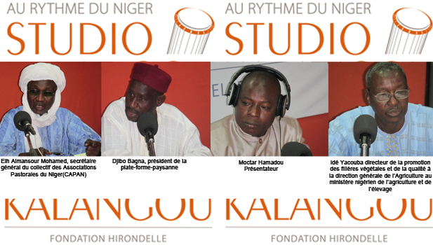 [Rediffusion]FORUM DU 10/06/2019-  «Résultats globaux définitifs de la campagne agro-sylvo-pastorale 2018 au Niger: analyse et recommandations»