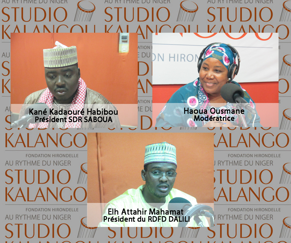 [Forum en haoussa] Création soudaine de formations politiques par des jeunes au Niger en 2019: Quelles sont les raisons qui poussent les jeunes à créer des partis politiques ?