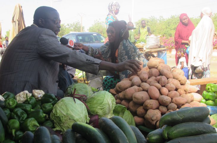 Sur les marchés de Niamey : forte disponibilité des légumes