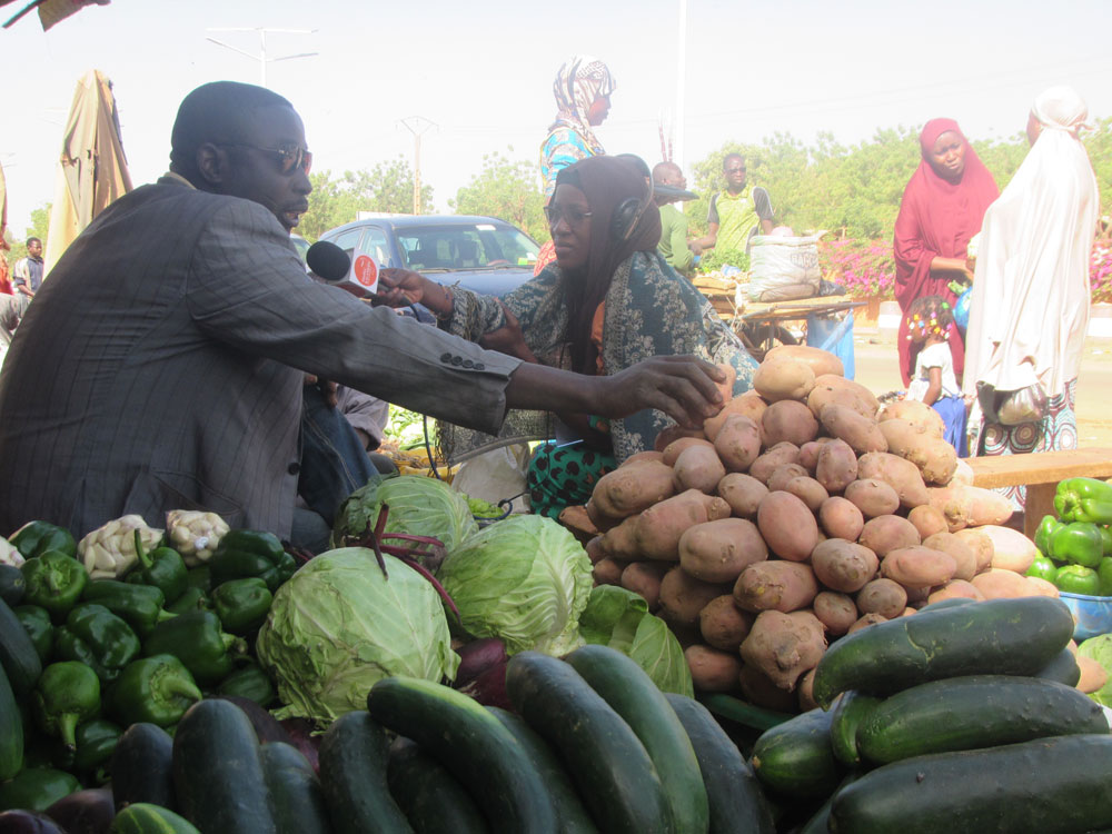 Sur les marchés de Niamey : forte disponibilité des légumes