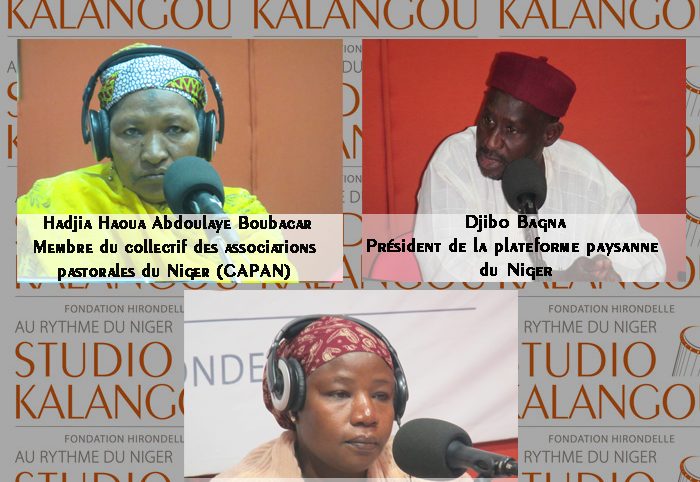 [Forum en zarma] «Campagne agricole déficitaire en 2019 au Niger: causes, conséquences et solutions envisageables»
