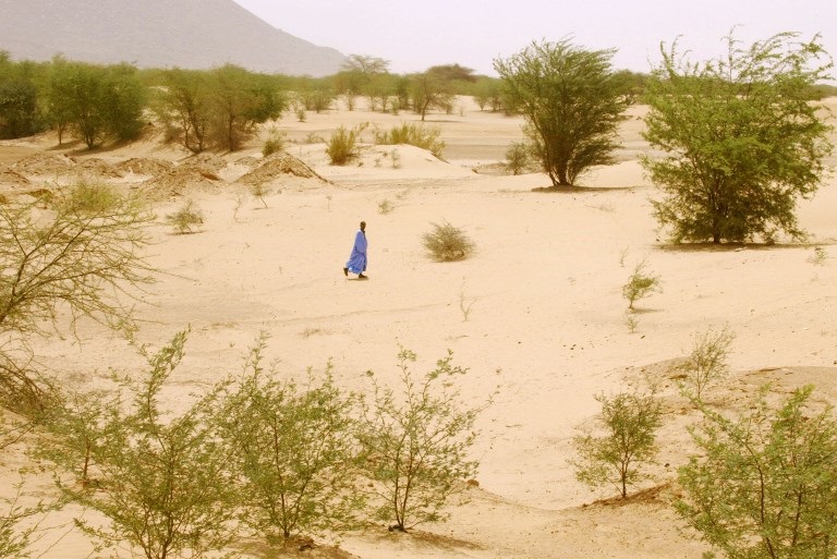 Magazine du 18/06/2018 – Désertification : démographie galopante au Niger alors que le désert avance et les sols dégradés