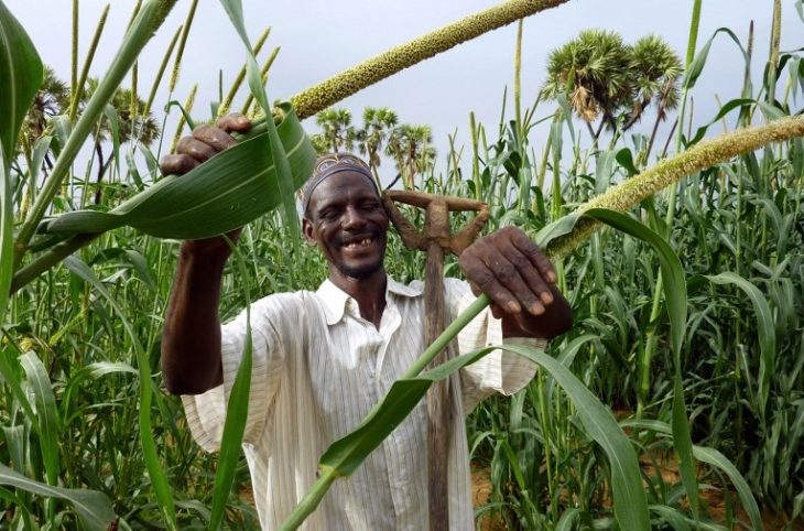 Le magazine du 12/09/2018 - À Kantché, sur 293 villages agricoles, 46 font face aux attaques des ennemis de cultures