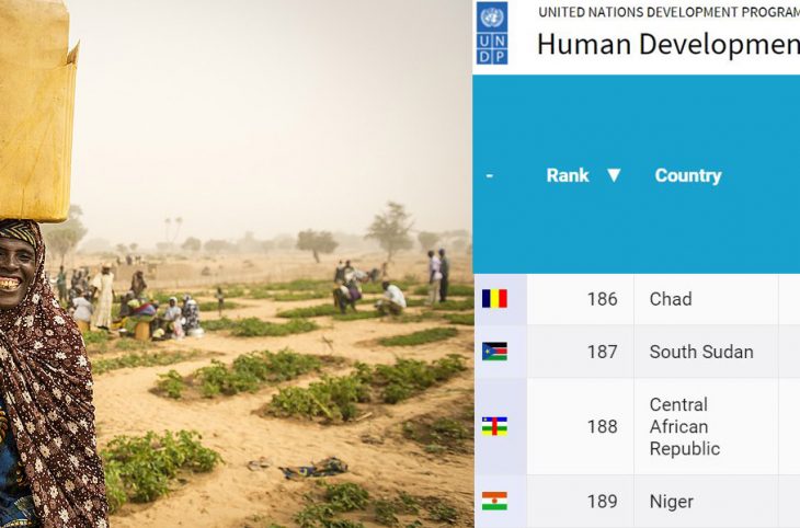 Classement IDH du Niger : pourquoi et comment améliorer les mauvaises performances ?