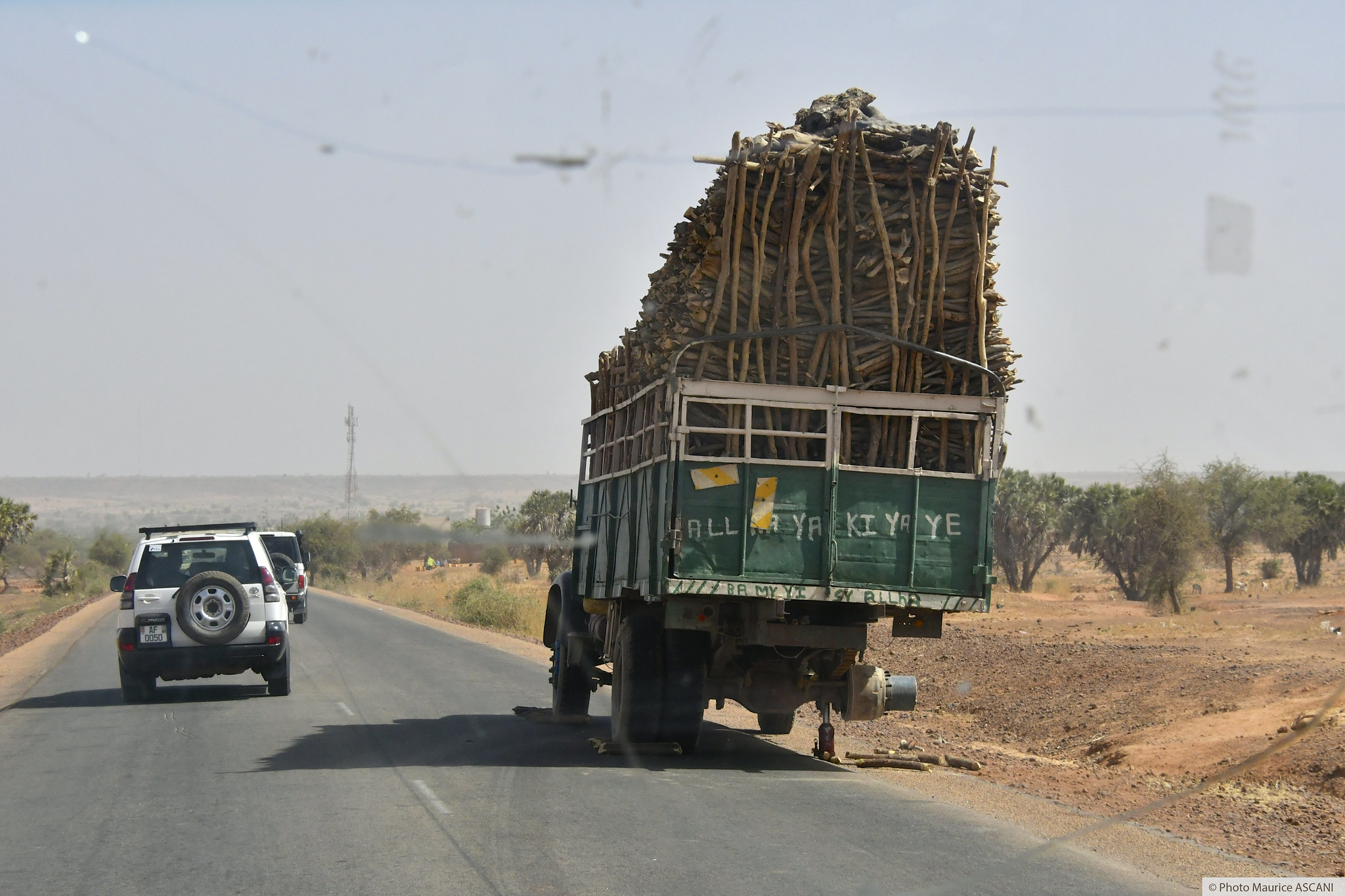Agadez / La coupe clandestine de bois inquiète les environnementalistes