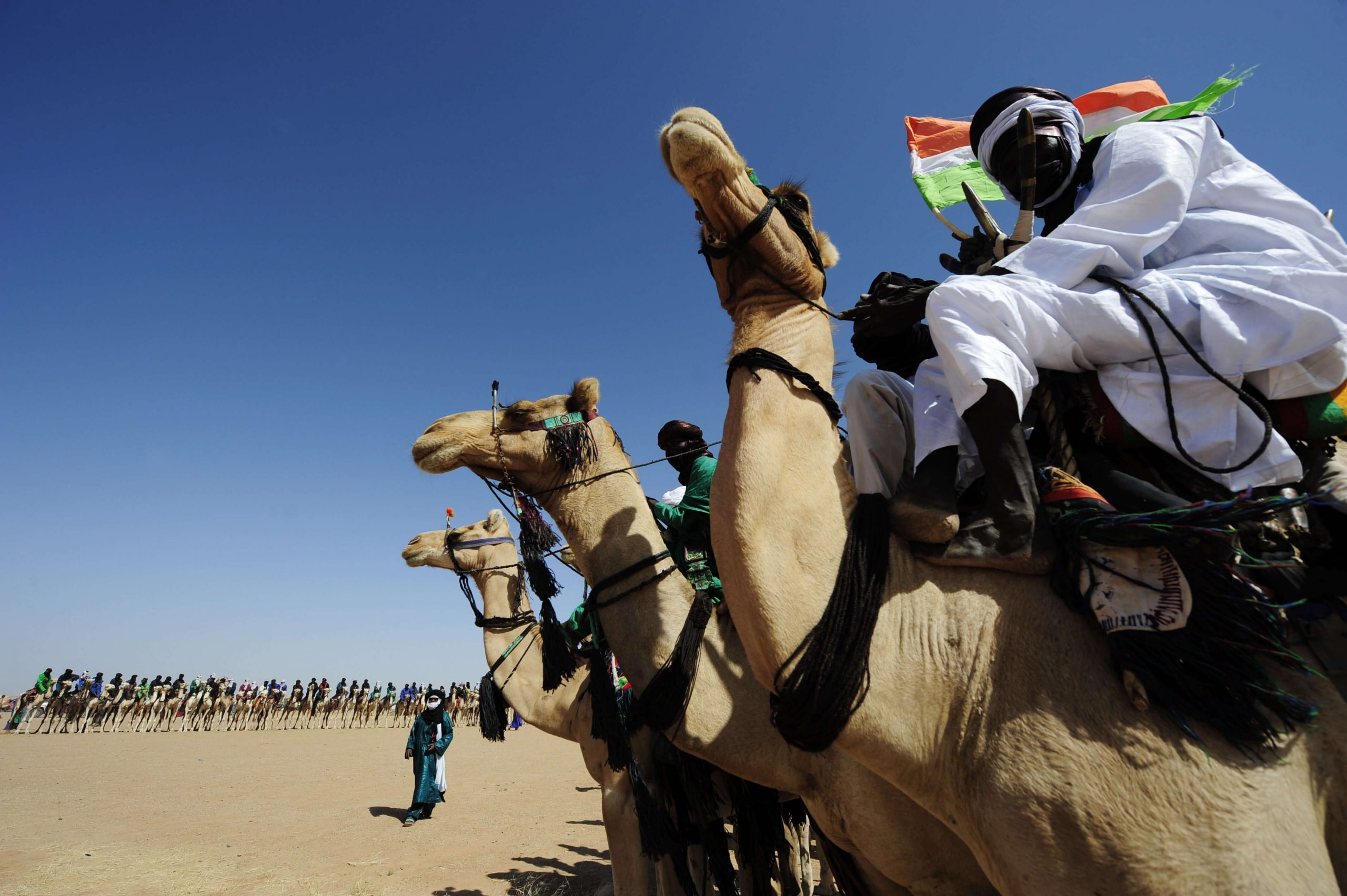 Agadez / Les éleveurs ne sont plus « tellement impliqués » dans l’organisation de la cure salée