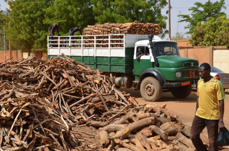 Approvisionnement en bois des centres urbains et péri-urbains par les marchés ruraux de bois au Niger : entre enjeux économiques et survie environnementale