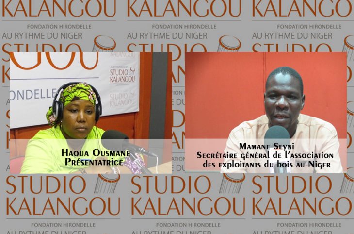 Approvisionnement en bois par les marchés ruraux de bois au Niger