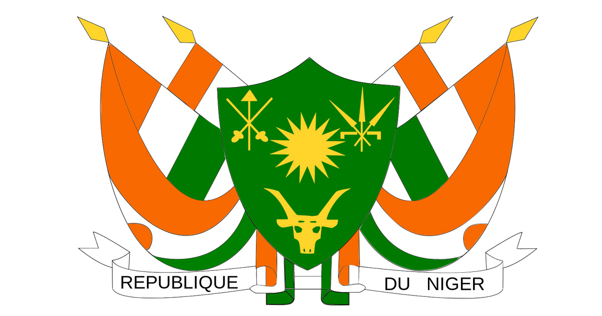 Constitution de la VIIème République du Niger : quelles avancées en huit années d’application?