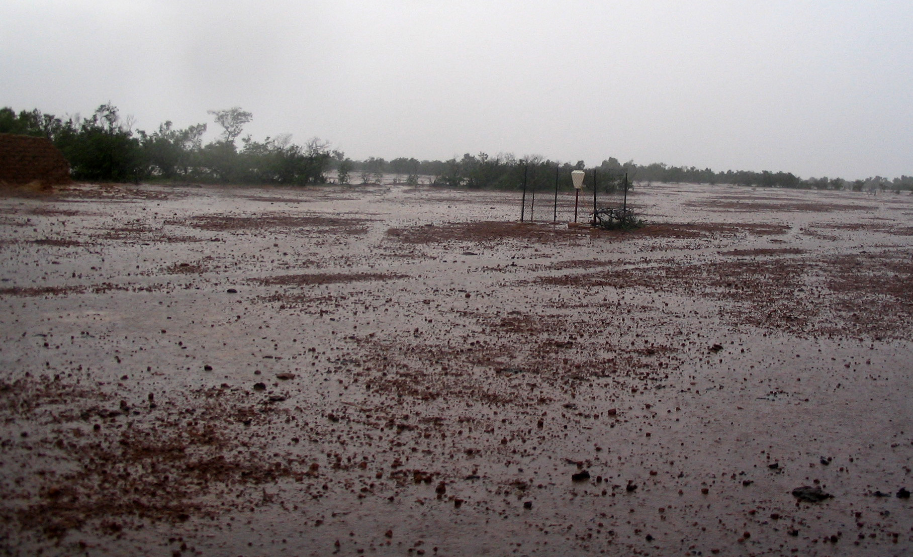 A Bilma où la pluie vient rarement, il est tombé 32 millimètres lundi !
