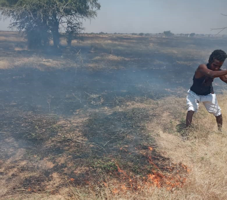 Les causes des feux de brousse pendant harmattan au Niger