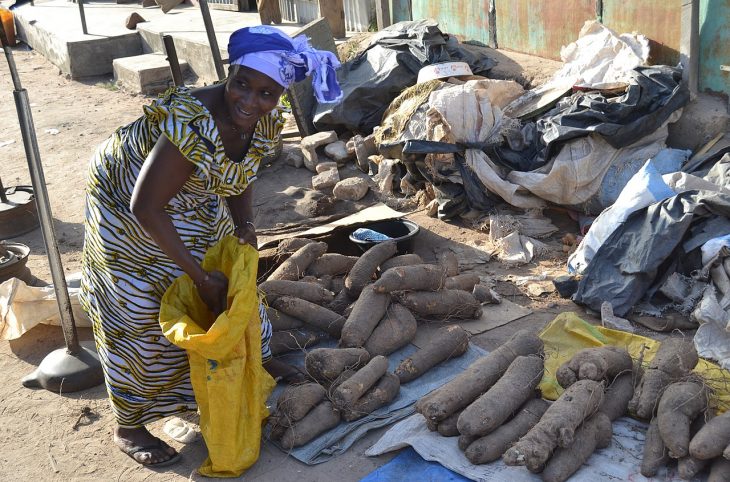 Le magazine du 29/08/2019 : Tout un cérémonial pour manger l’igname dans l’ex Dahomey
