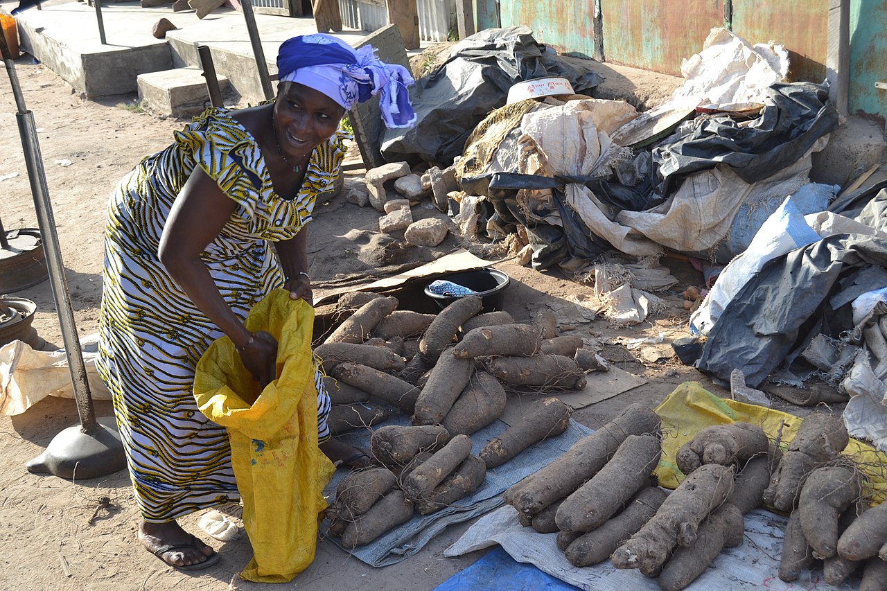 Le magazine du 29/08/2019 : Tout un cérémonial pour manger l’igname dans l’ex Dahomey