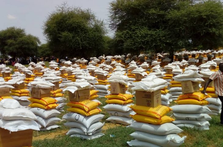 Le CICR au secours de la population de Toumour, région de Diffa