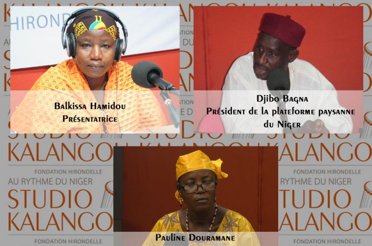 La commercialisation et l’utilisation des engrais chimiques au Niger : défis et perspectives